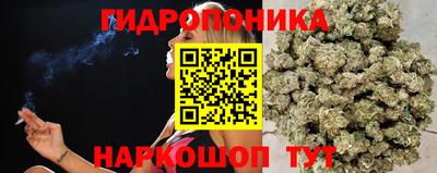 СК Кунгур