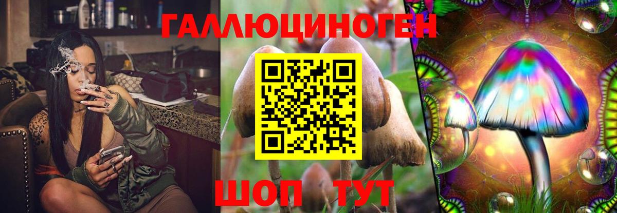 Галлюциногенные грибы прущие грибы  Вход с VPN  Канаш 